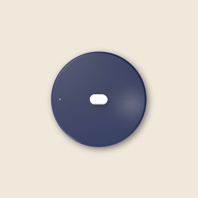 La Meravigliosa coperchio in acciaio inox 24 cm