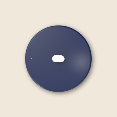 De Prachtige rvs deksel 28 cm