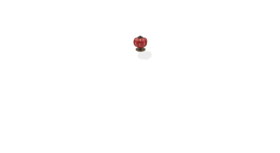 Asa de la tapa